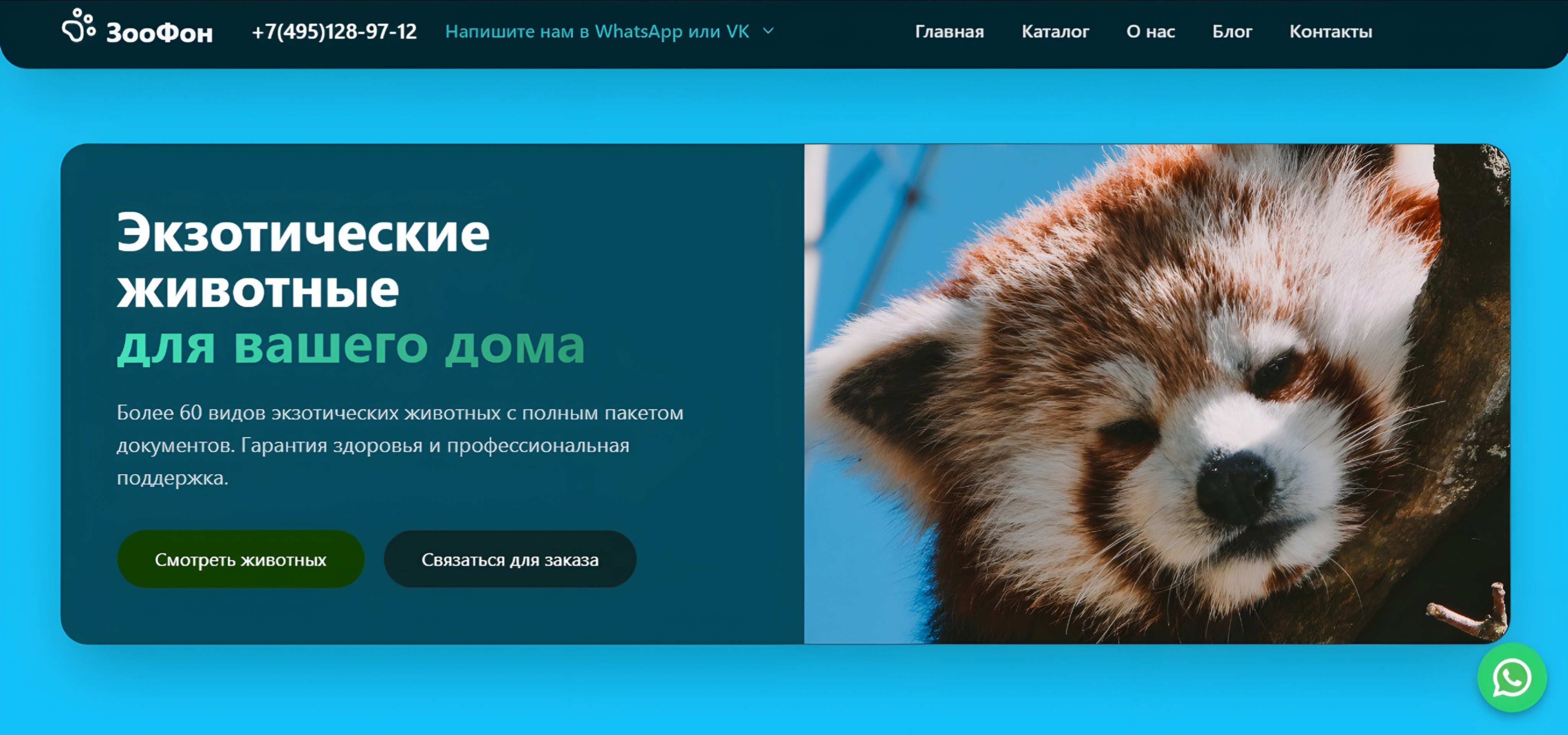 ZооФон — магазин экзотических животных